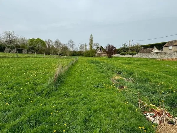 Terrain 1000 m²