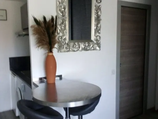 Appartement 1 pièce 26 m²