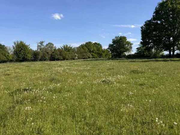 Terrain 2500 m²