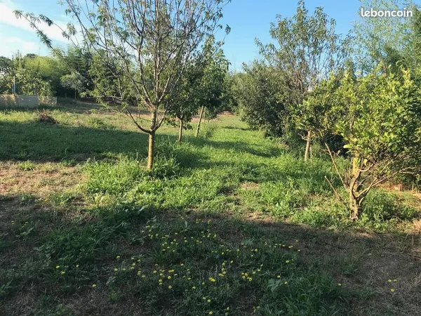Terrain de loisir Canet en Roussillon