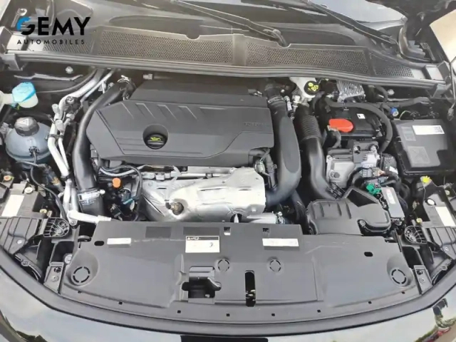 Peugeot 308 phev 180 e-eat8 — photo 12