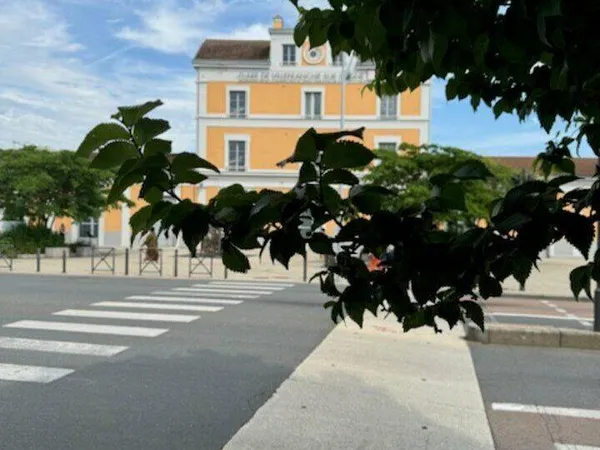 Local commercial 355 m²
