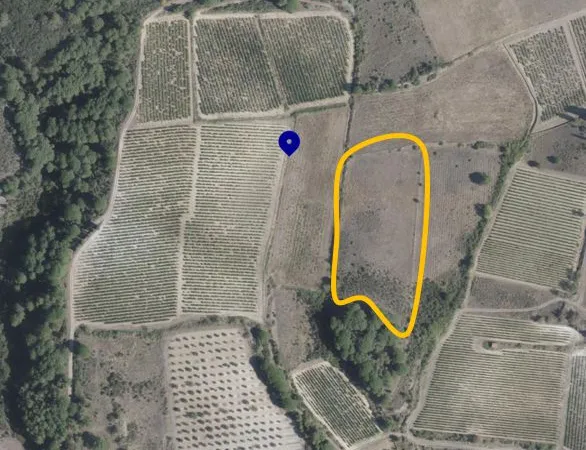 Terrain agricole / de loisirs de 7 940 m² - calme, isolé et sans vis-à-vis - Villeneuve-Minervois