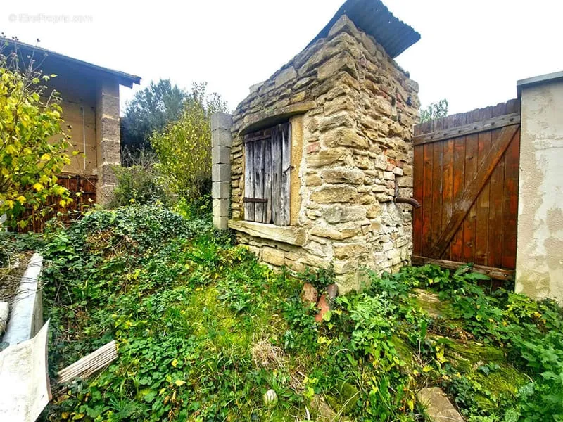 Photo 10