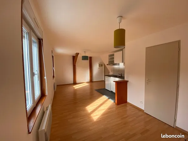 Appartement 1 pièce 45 m²