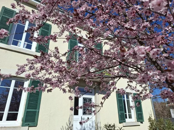 Vends maison 300m²
