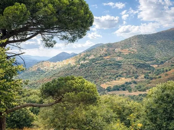 Terrain 2457 m²