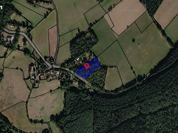 Vends terrain boise non constructible