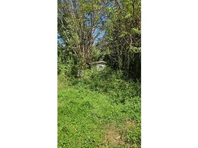 À vendre Terrain constructible au Lamentin