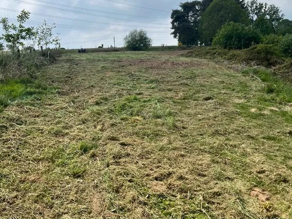 Terrain a pâturé