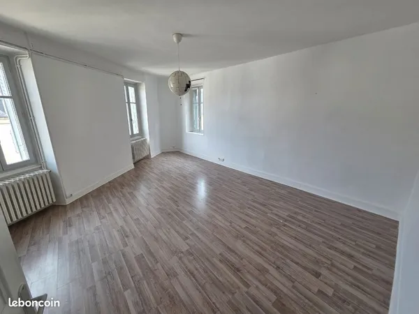 Nevers hypercentre - grand appartement 3 chambres - 700 cc