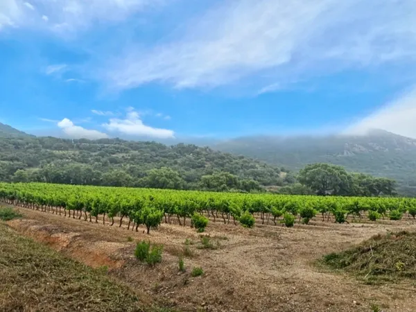À seulement 15 minutes de Saint-Tropez, cette propriété rare d