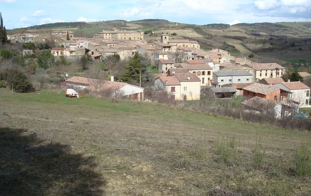 Photo 3