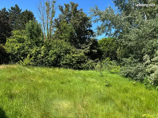Terrain 783 m² Roncq