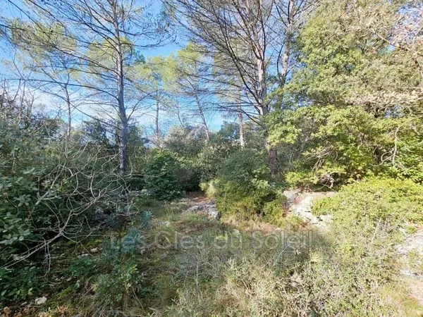 Terrain 4500 m²
