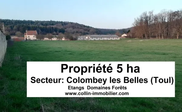 Terrain 50000 m²