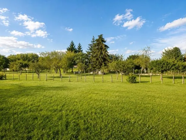 Terrain 560 m²