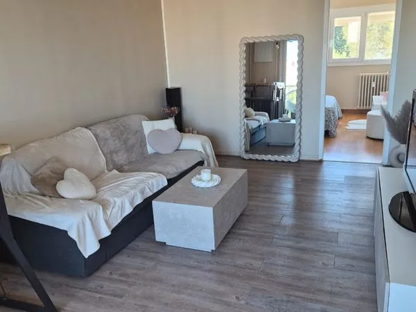 Vends T3 TRÈS LUMINEUX
