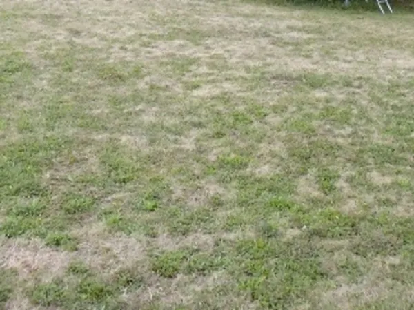 Terrain 828 m²