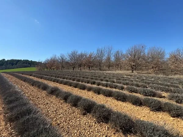 Terrain 795 m²