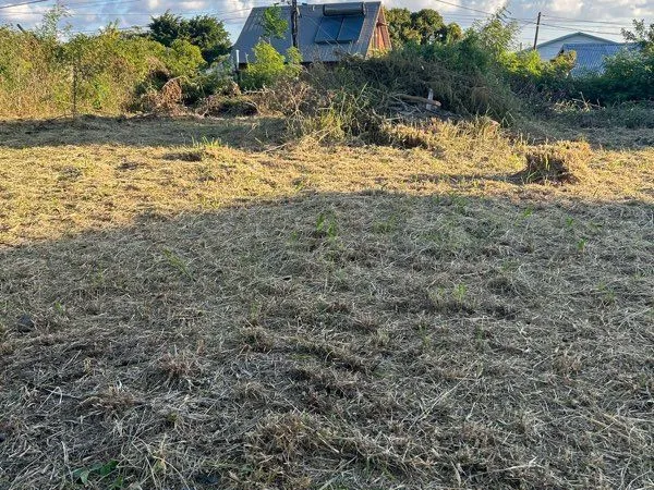 Terrain de 231 m2