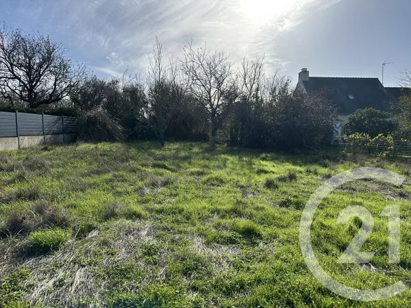 Terrain 449 m²