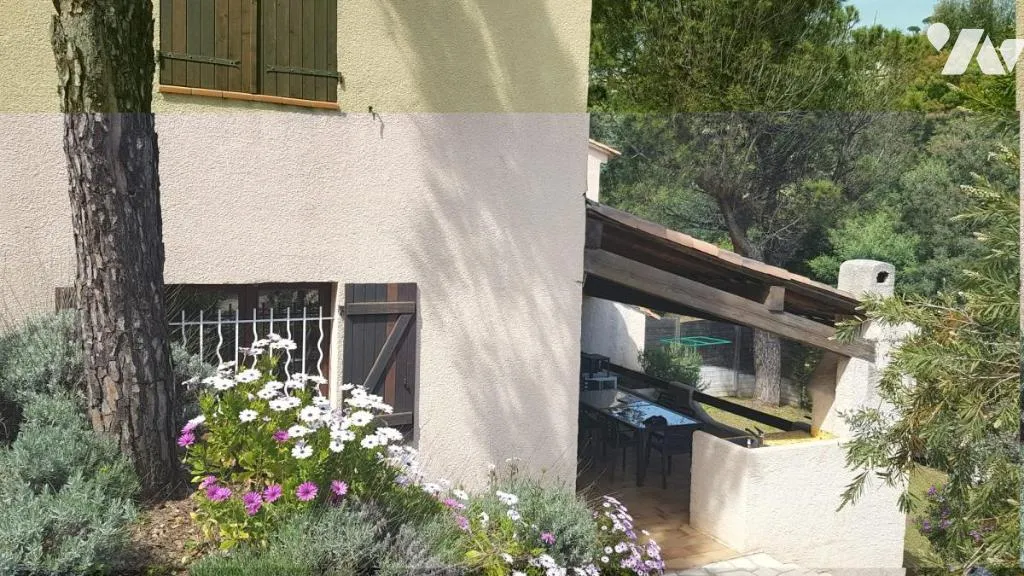 Photo 12