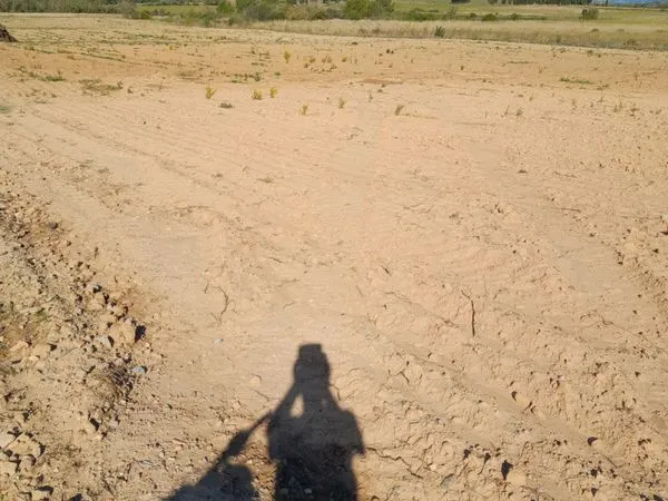 Champ / terrain