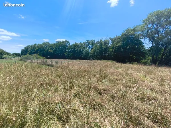 Terrain à bâtir Vente Saint-Félix-de-Villadeix  6481m² 28000€