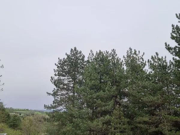 TERRAIN de LOISIR de 680 m2 avec chalet de 28 m2 dans PRL