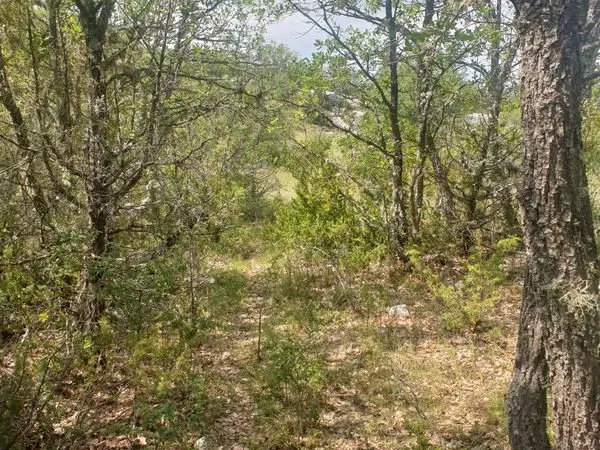 Parcelle de forêt en zone naturelle