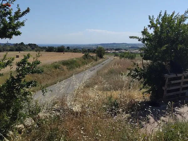 Jolie parcelle agricole