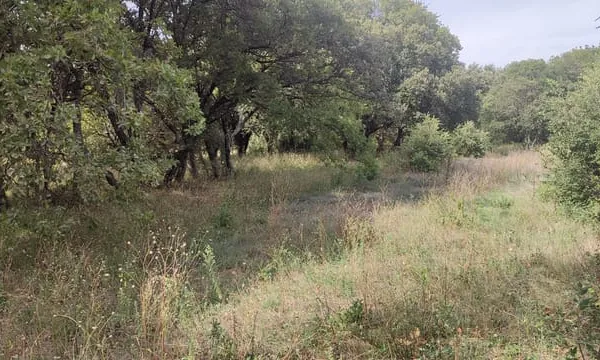 Terrain à bâtir de 1500 m2 au calme absolu