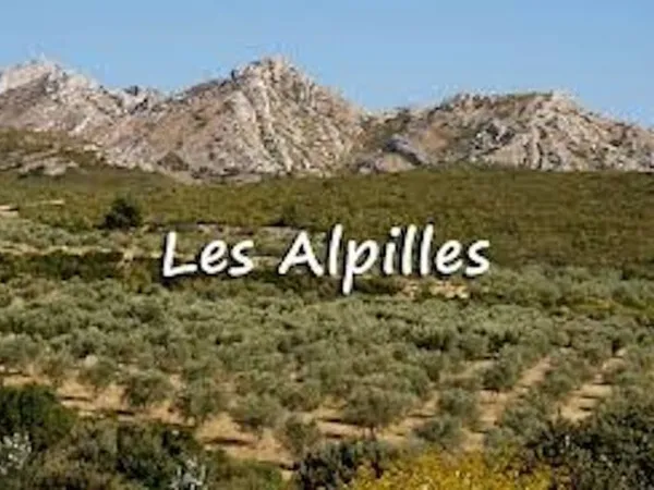 Terrain 350 m²