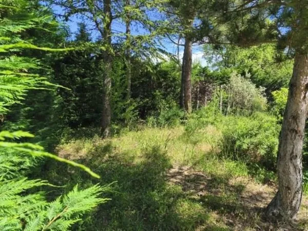 Terrain 500 m²