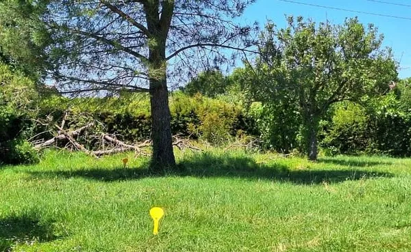 Terrain 325 m²