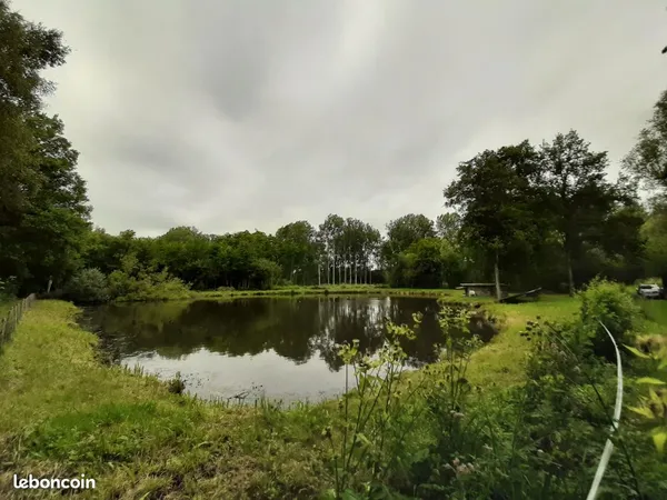 Etang clos sur 8000m2 de terrain