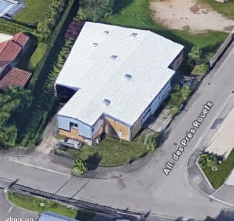 Local d’activité et entrepôt Location Messimy 50m² 4600€