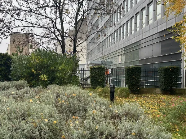 Local professionnel 208 m²
