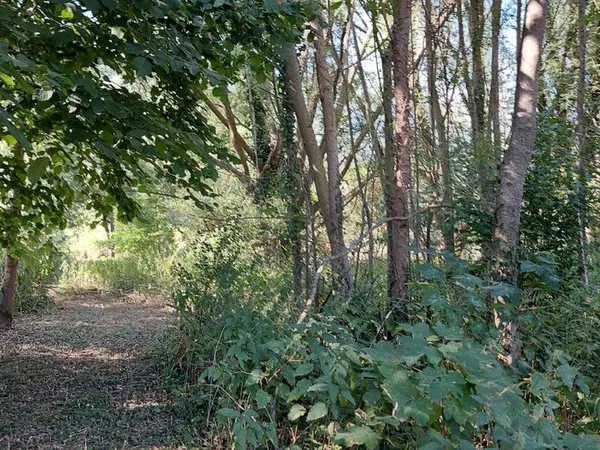 Terrain bord de loir