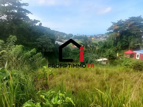 Terrain 3459 m² La Trinité