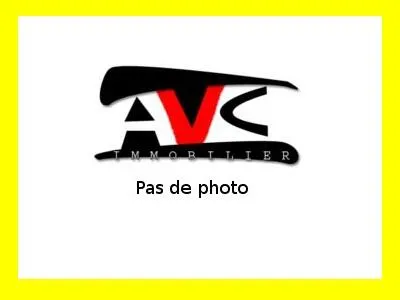 Local professionnel ou commercial