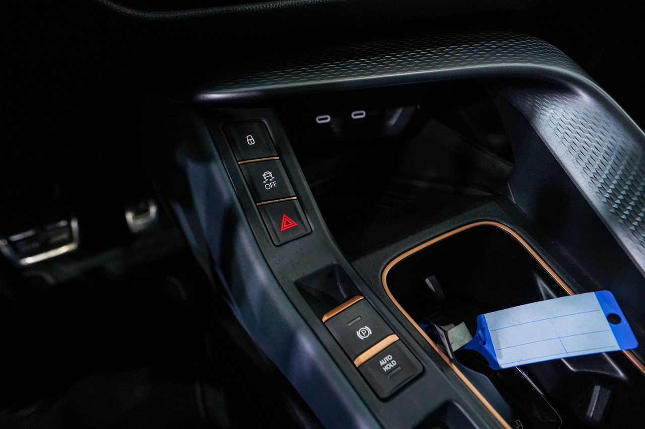 Cupra Terramar — photo 25