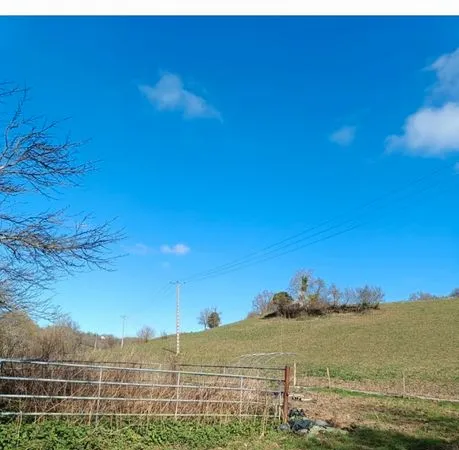 Terrain agricole