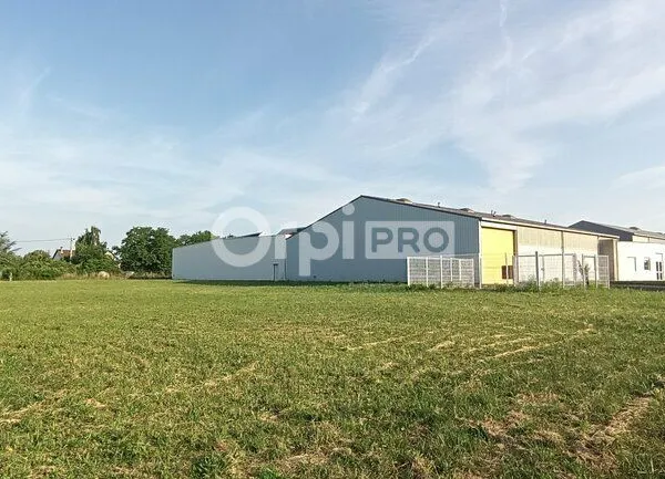 Local d'activité 2 600 m²