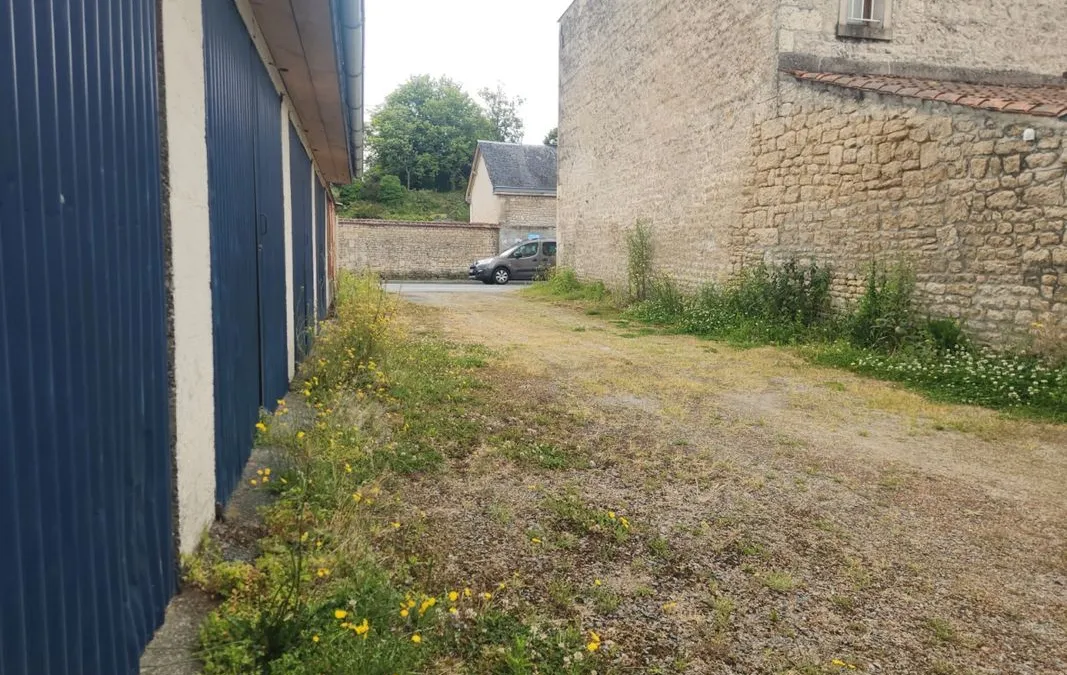 Photo 3