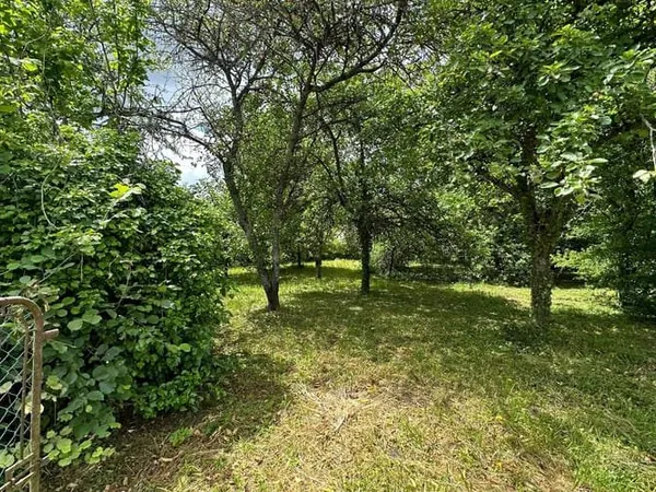 Terrain 956 m²