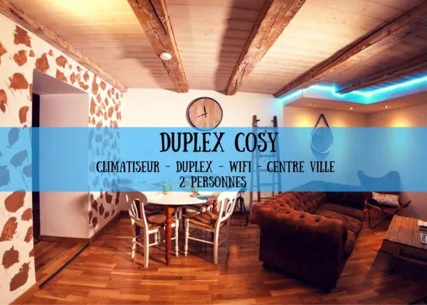 Duplex 2 pièces 45 m²
