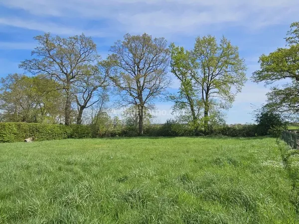 Terrain 2500 m²