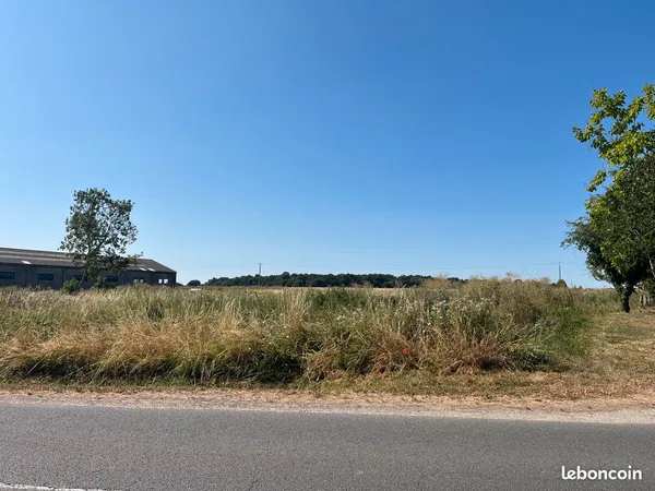 Terrain constructible